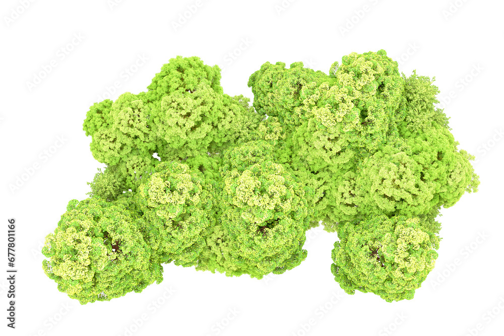 Green forest isolated on transparent background. 3d rendering - illustration Green forest isolated on transparent background. 3d rendering - illustration