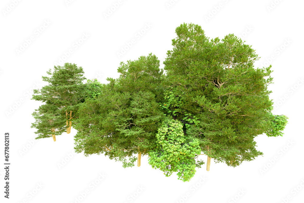 Obraz premium Green forest isolated on transparent background. 3d rendering - illustration