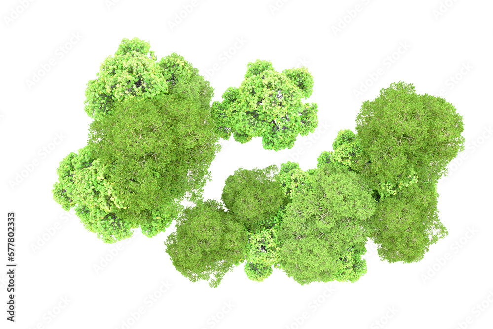 Green forest isolated on transparent background. 3d rendering - illustration Green forest isolated on transparent background. 3d rendering - illustration