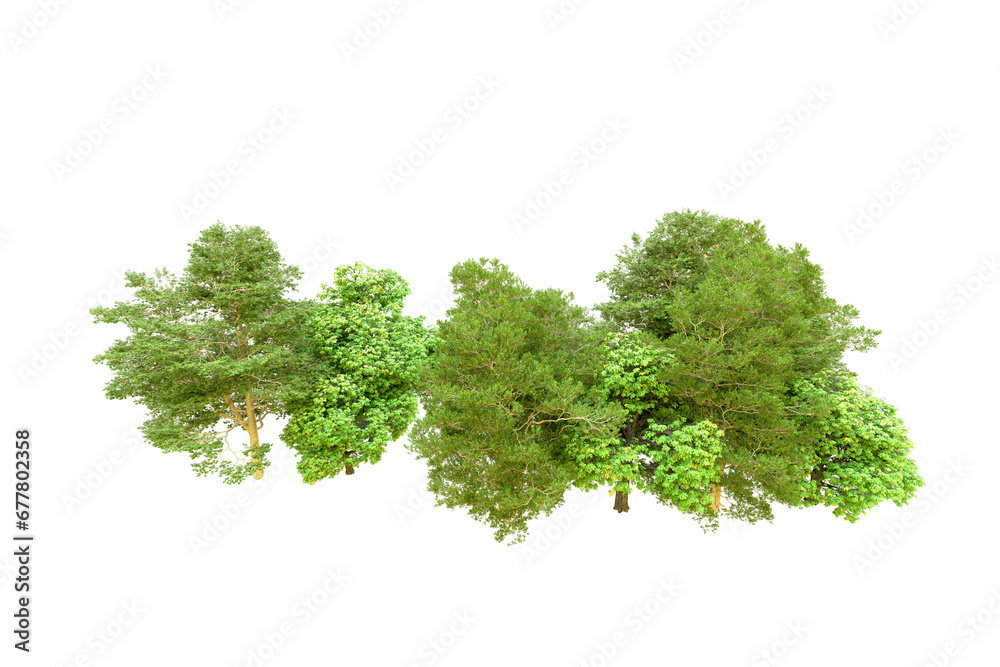 Fototapeta premium Green forest isolated on transparent background. 3d rendering - illustration