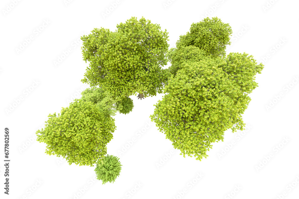 Green forest isolated on transparent background. 3d rendering - illustration Green forest isolated on transparent background. 3d rendering - illustration