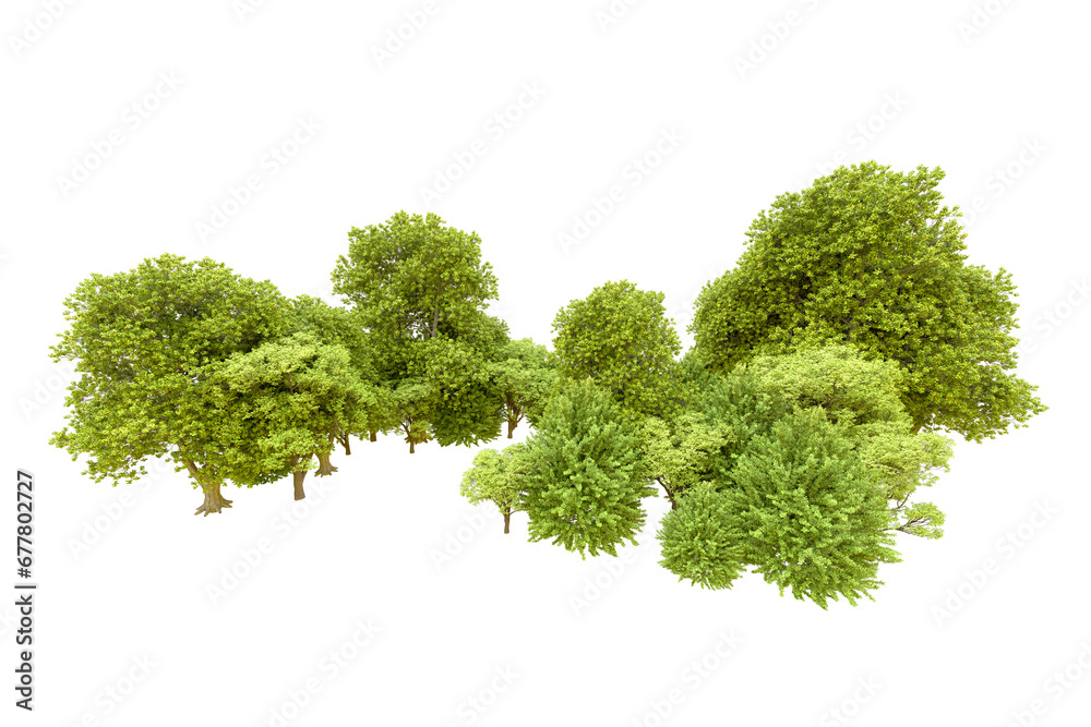 Fototapeta premium Green forest isolated on transparent background. 3d rendering - illustration
