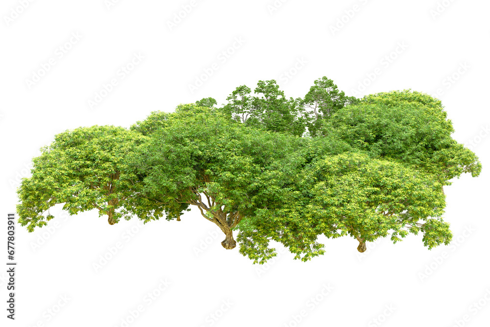 Obraz premium Green forest isolated on transparent background. 3d rendering - illustration