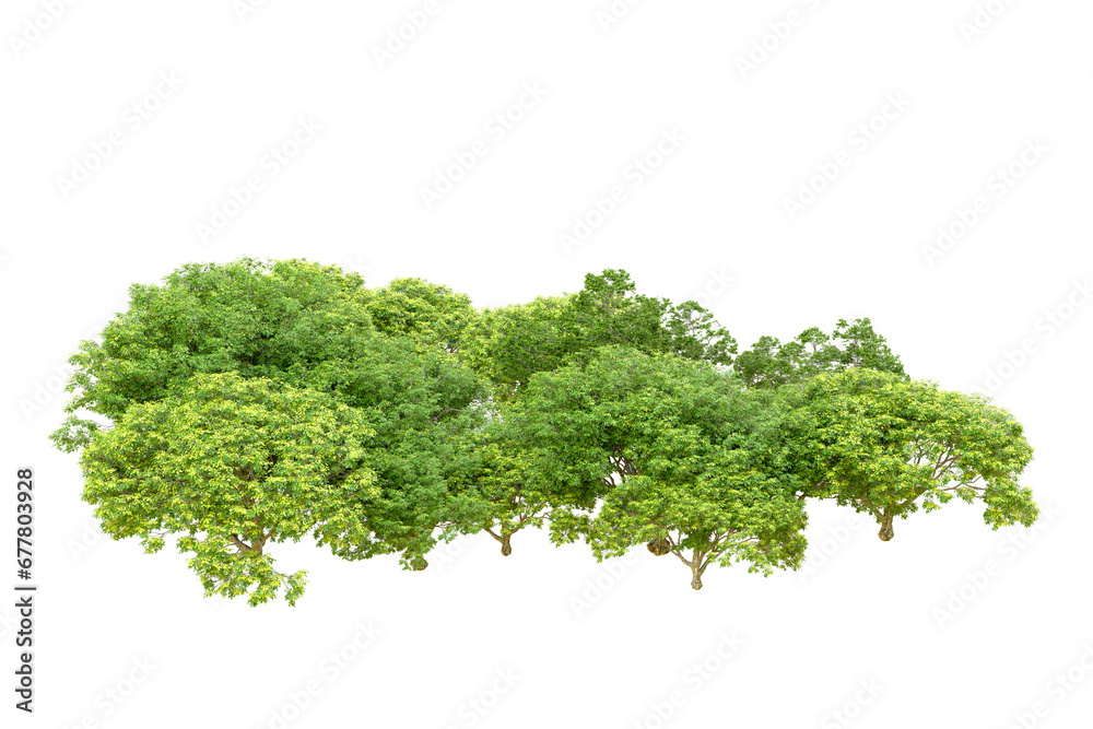 Green forest isolated on transparent background. 3d rendering - illustration Green forest isolated on transparent background. 3d rendering - illustration