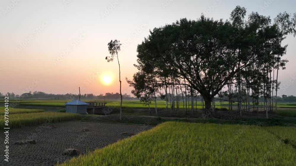 Beautiful Sunset over the tree and hut, 4k Beautiful Sunset over the tree and hut, 4k