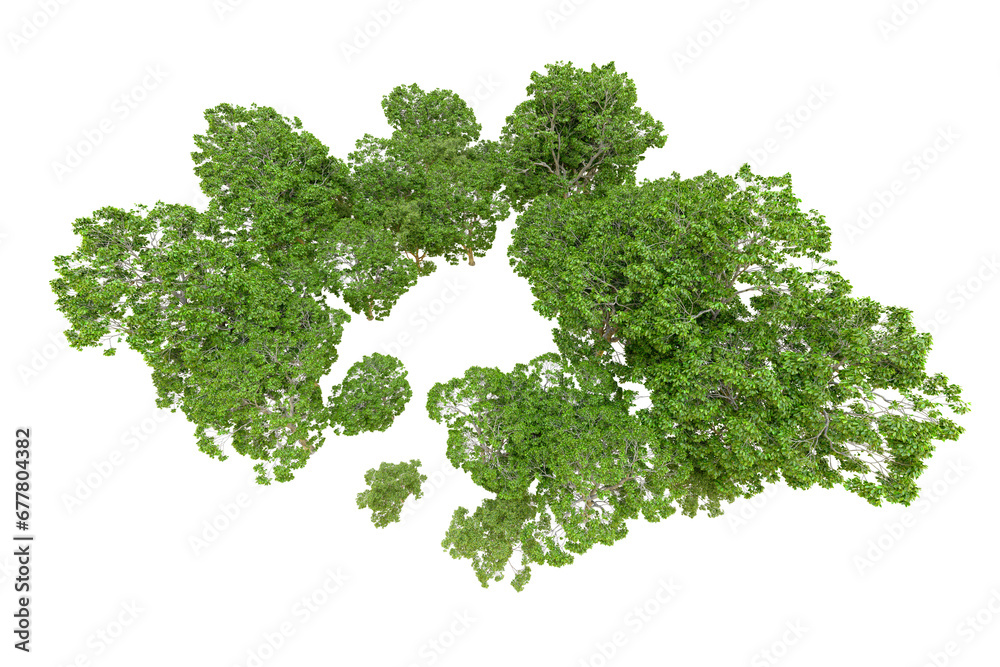 Obraz premium Green forest isolated on transparent background. 3d rendering - illustration