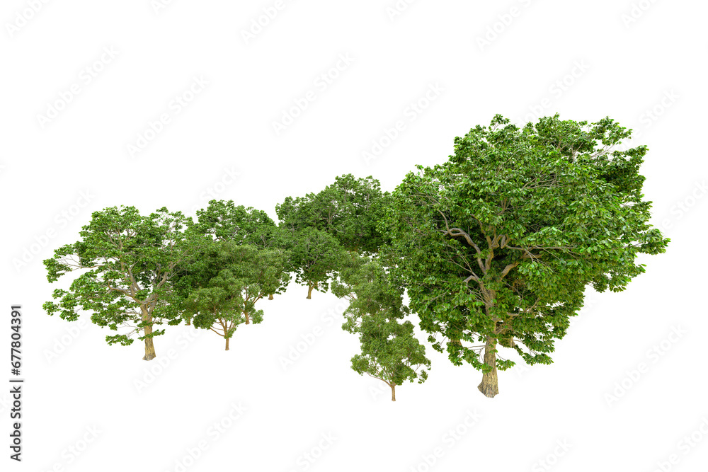 Fototapeta premium Green forest isolated on transparent background. 3d rendering - illustration