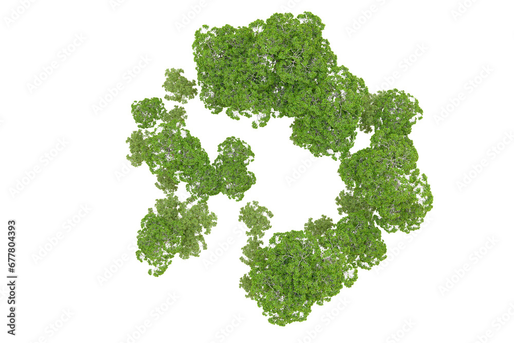 Green forest isolated on transparent background. 3d rendering - illustration Green forest isolated on transparent background. 3d rendering - illustration