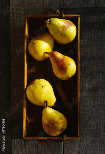 Juicy yellow Forelle Pears in a rustic wooden fruit box. Known as a greet snacking pear, make up in sweet flavor and beautiful appearance