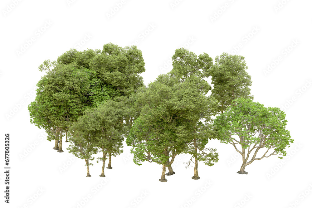Fototapeta premium Green forest isolated on transparent background. 3d rendering - illustration