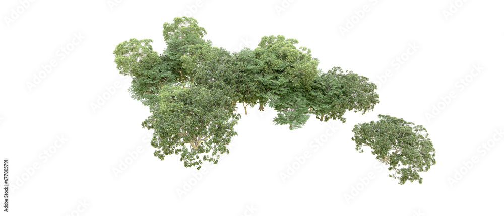 Green forest isolated on transparent background. 3d rendering - illustration Green forest isolated on transparent background. 3d rendering - illustration