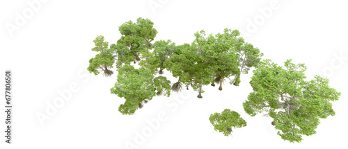 Green forest isolated on transparent background. 3d rendering - illustration