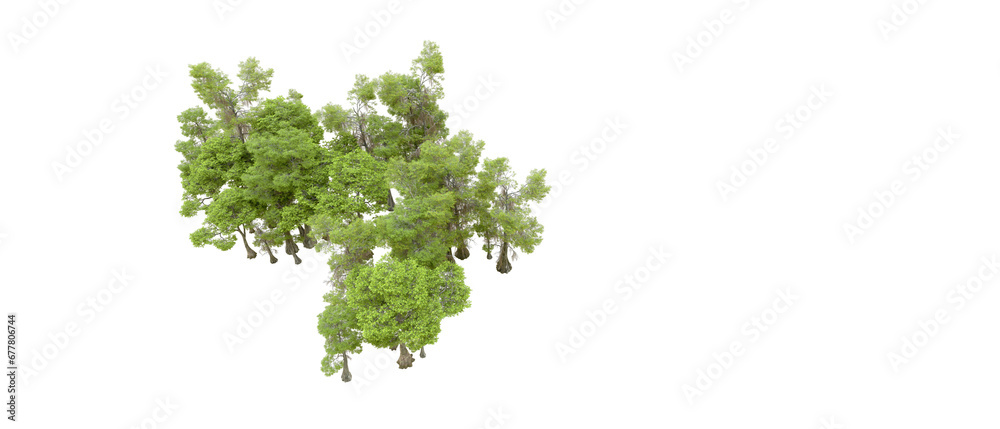 Fototapeta premium Green forest isolated on transparent background. 3d rendering - illustration