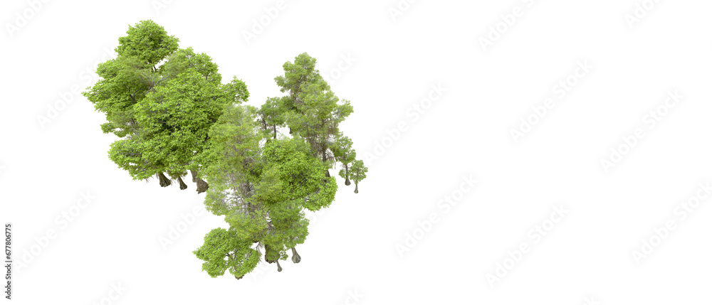 Obraz premium Green forest isolated on transparent background. 3d rendering - illustration