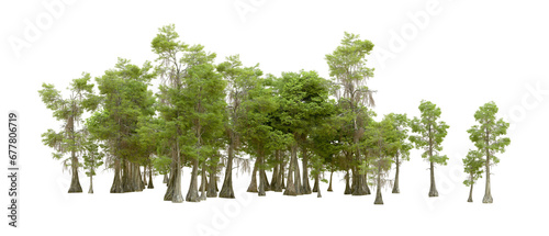 Green forest isolated on transparent background. 3d rendering - illustration photo