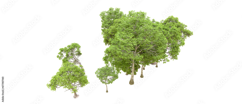 Fototapeta premium Green forest isolated on transparent background. 3d rendering - illustration