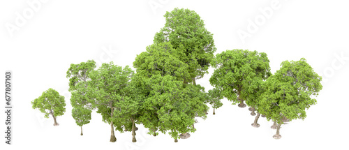 Green forest isolated on transparent background. 3d rendering - illustration