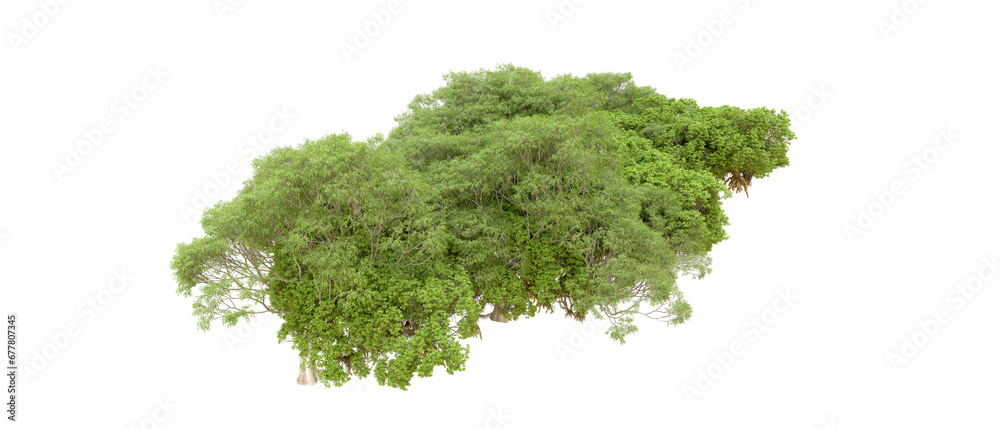 Fototapeta premium Green forest isolated on transparent background. 3d rendering - illustration