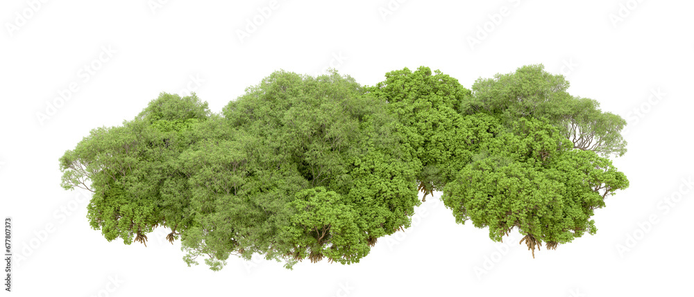 Green forest isolated on transparent background. 3d rendering - illustration Green forest isolated on transparent background. 3d rendering - illustration