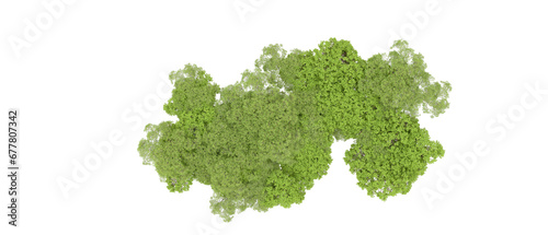 Green forest isolated on transparent background. 3d rendering - illustration