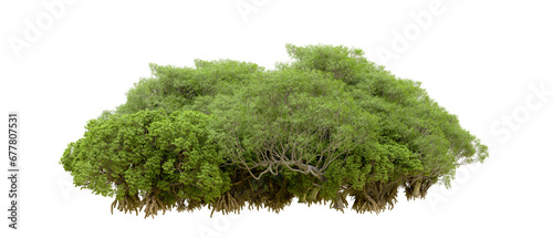 Green forest isolated on transparent background. 3d rendering - illustration