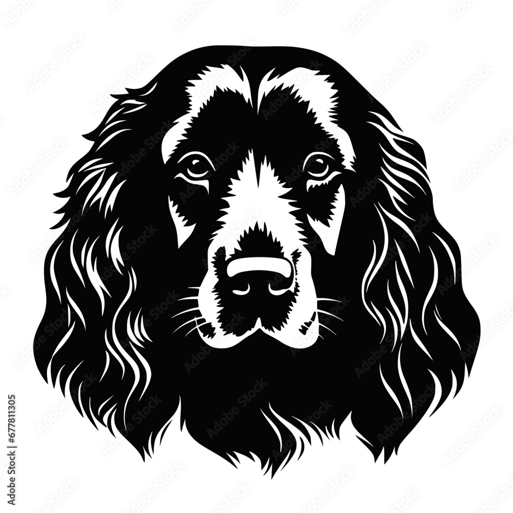 Obraz premium Cute Water Spaniel dog, illustration, vector on white background