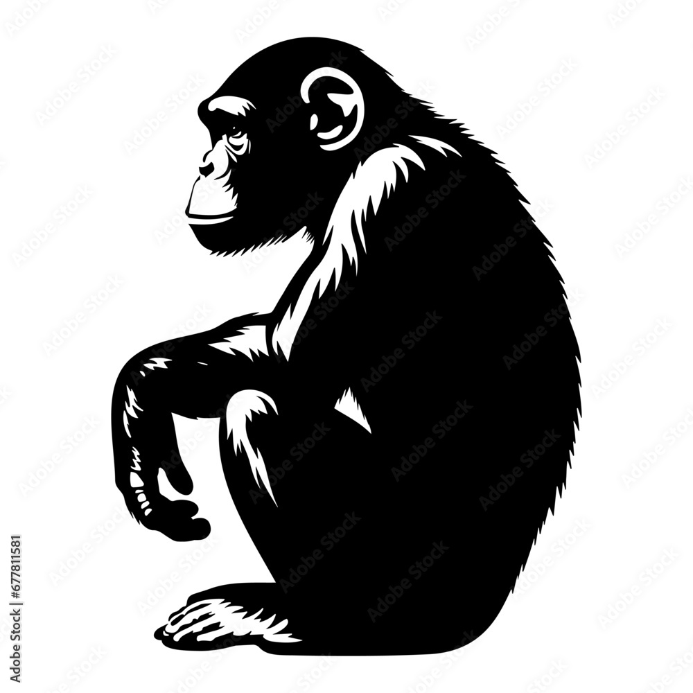 Chimpanzee sitting silhouette. Vector illustration