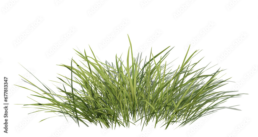 Naklejka premium Bunches of grass on a transparent background. 3D rendering.