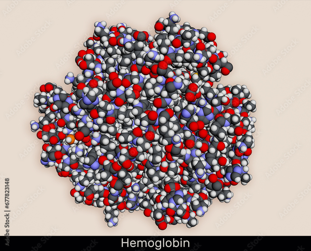 Hemoglobin haemoglobin, Hb or Hgb molecule. It is blood protein. Molecular model. 3D rendering Hemoglobin haemoglobin, Hb or Hgb molecule. It is blood protein. Molecular model. 3D rendering