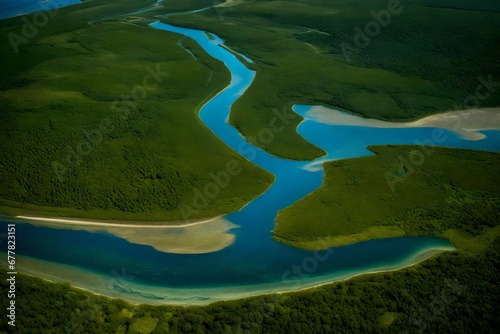A river delta habitat, where the confluence of rivers and estuaries supports a diverse array of life