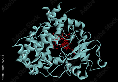 Cytochrome P450 molecule. CYP 3A4 is the most promiscuous of the human CYP enzymes. Molecular model. 3D rendering photo