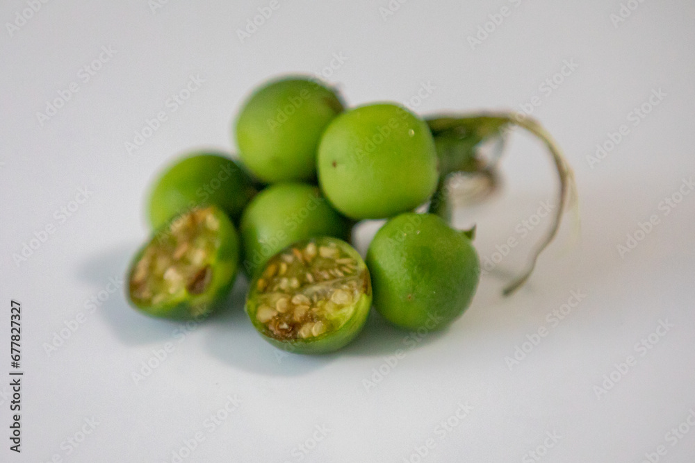 Macro photo of Macro photo of