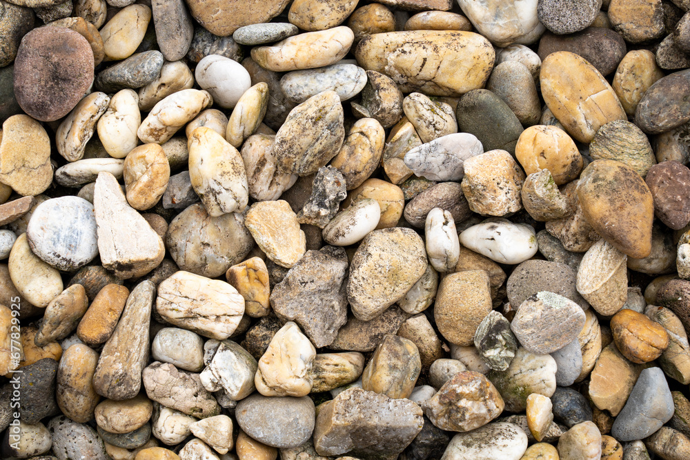 River pebbles of different colors and shapes River pebbles of different colors and shapes