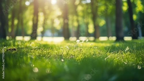 Blurred background of a green grassy field in the forest photo