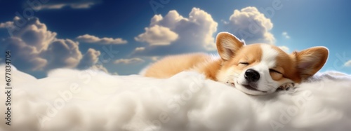 Sweet cute Corgi puppy sleeping in the clouds with copy space photo