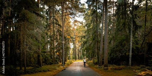 Panoramic view of a person riding a bicycle in a park of green pines in Stockholm, Sweden #677836373