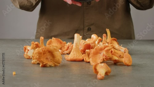 Chef cooking fresh chanterelle mushrooms and the ingredients cooking i9n restaurant, autumn menu in cafe. Harvesting mushrooms photo
