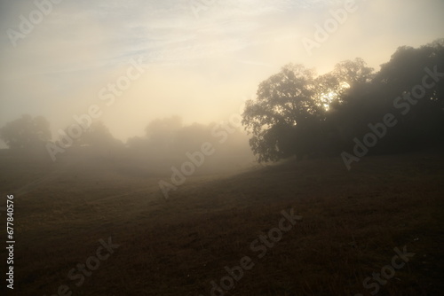 misty morning sunrise