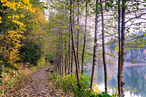 A magnificent colorful path by the lake in autumn