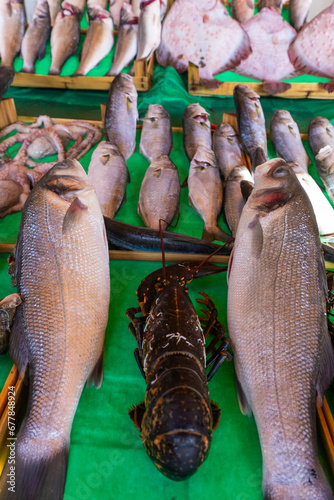 Canvas Print Fish shop, various fish, dorado, mackerel,