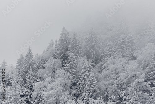 winter mountain landscape with snow and snow-covered fir trees