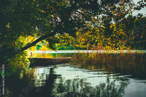 autumn in the park