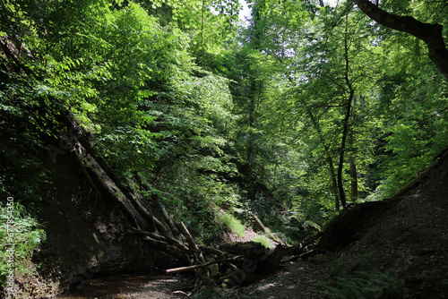 Landschaft Bayern - P  hler Schlucht - Burgleitenbach   Landscape Bavaria - P  hler Gorge - Burgleitenbach  