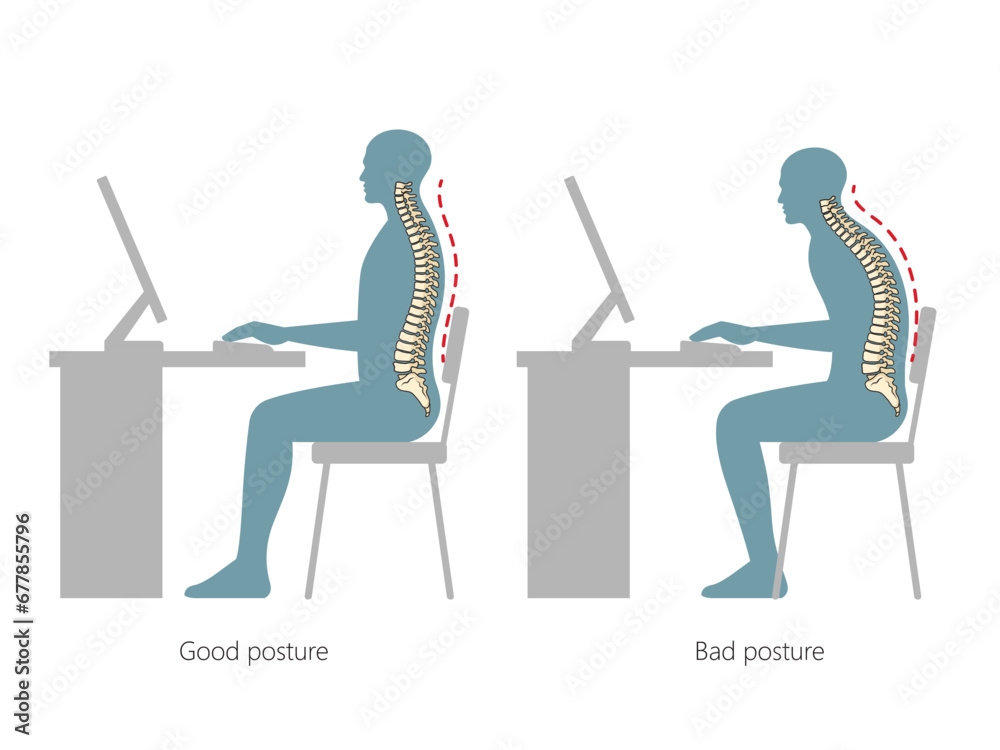 Correct and incorrect posture at the table spine vertebral column diagram hand drawn schematic vector illustration. Medical science educational illustration - obrazy, fototapety, plakaty 