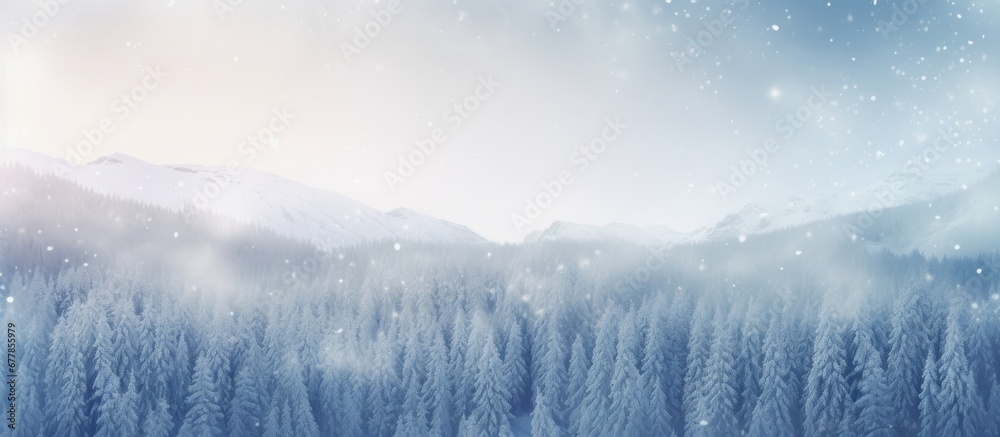 Beautiful winter landscape with snow covered trees and falling snow