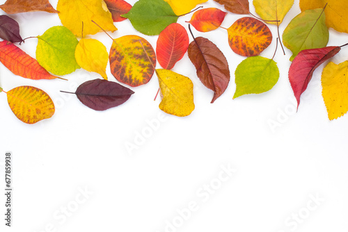 Colorful autumn leaves on white background, copy space for text. View from above. photo