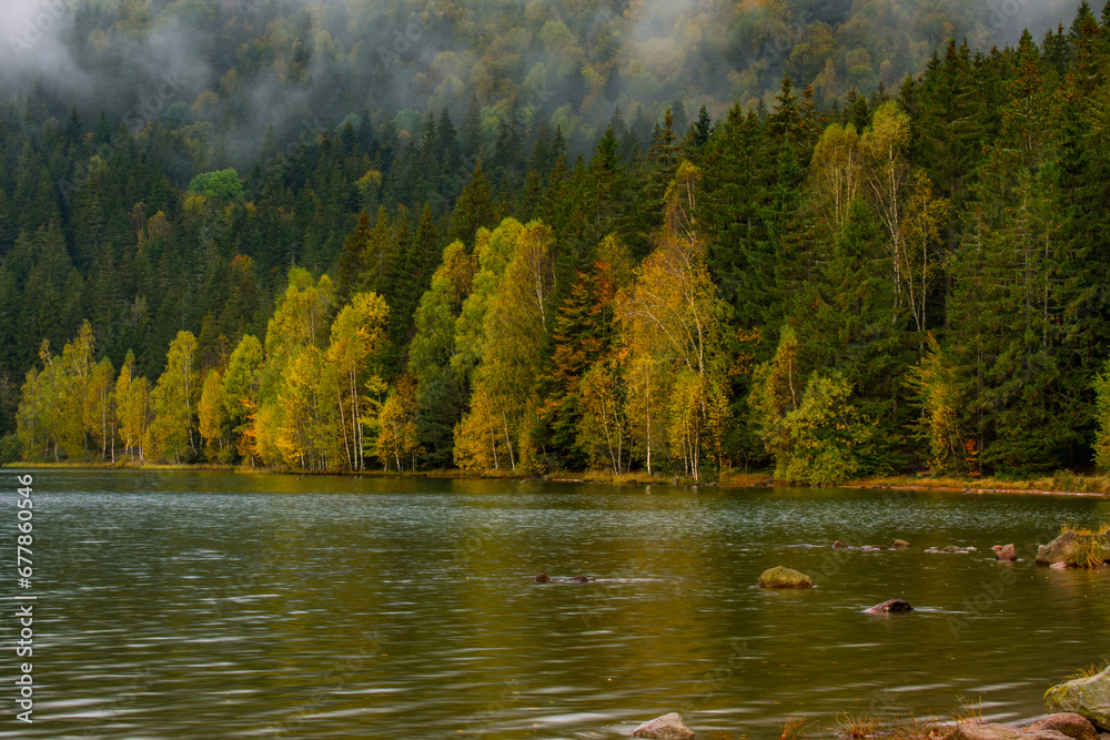 reflections with forest in autumn lake, Sf Ana lake