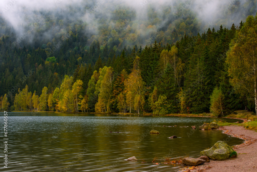 reflections with forest in autumn lake, Sf Ana lake