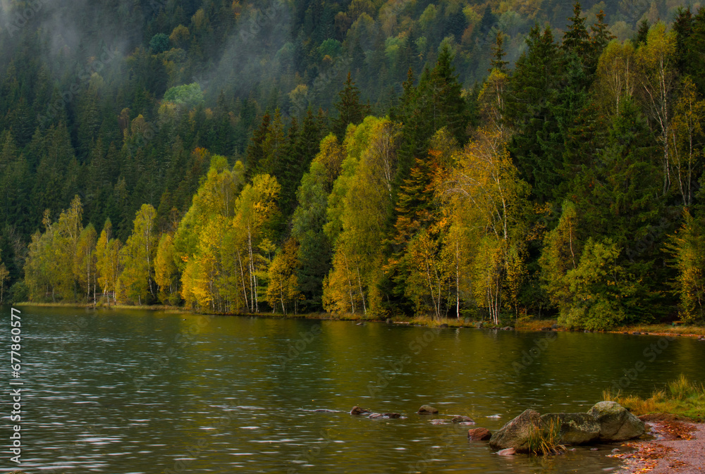 reflections with forest in autumn lake, Sf Ana lake