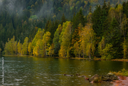Obraz na płótnie reflections with forest in autumn lake, Sf Ana lake w salonie